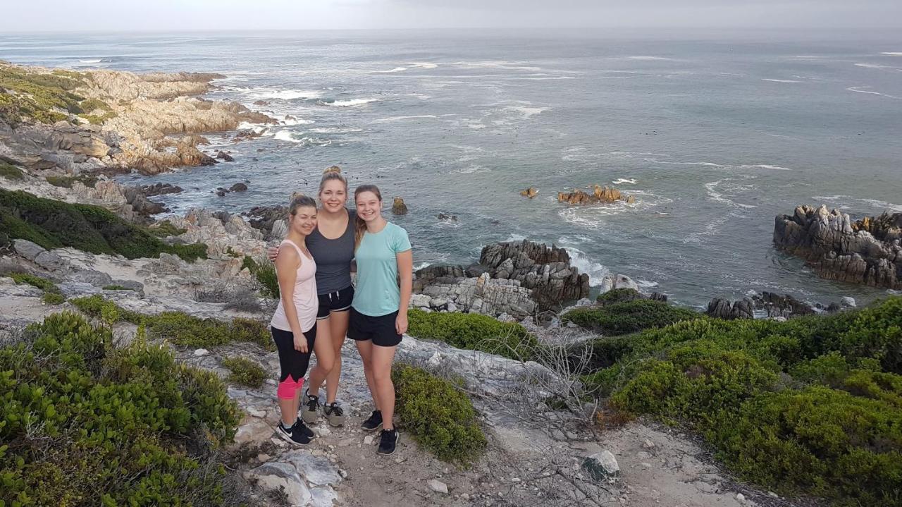 Amazing Grace B&B Gansbaai Zewnętrze zdjęcie